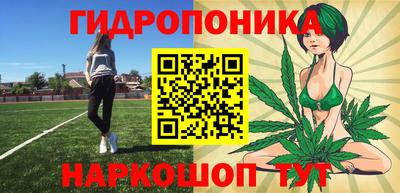 мдпв Кандалакша