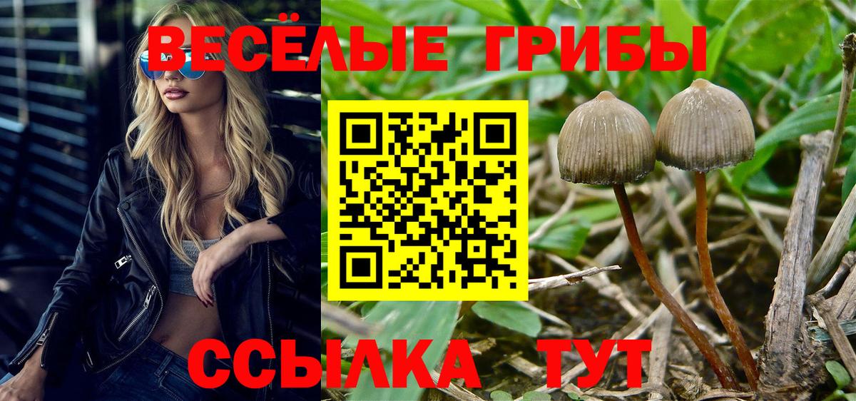 Псилоцибиновые грибы мицелий  Вход с VPN  Красноуфимск  Псилоцибиновые грибы ЛСД 