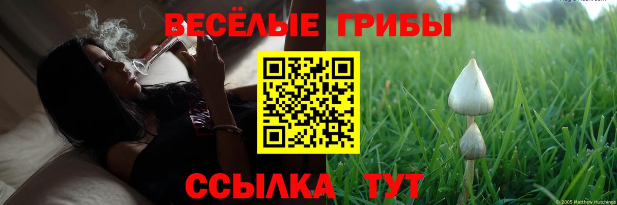 Псилоцибиновые грибы Cubensis Красноуфимск